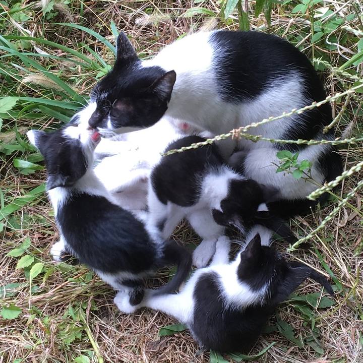 27dea5a0 e815 47ad b14b 93043e675e0d