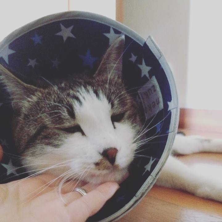 27df920d f503 46dc a767 a02a73bf94a3