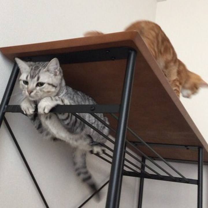 27dfb184 93e4 4696 a405 5efedae51ab2