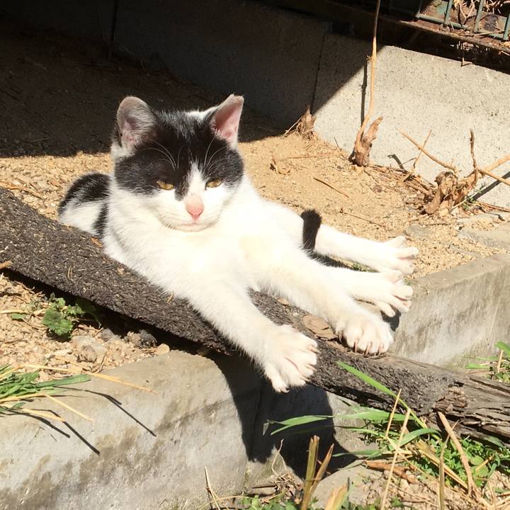 27dfcfe6 6d09 4d83 89ec a22e32273ae6