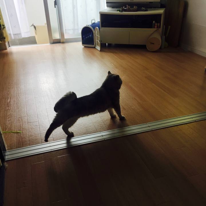 27e00731 083a 439e 8712 dcf88a03de7f