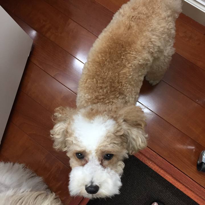 27e0606a dfa3 4427 a9d5 4fbbe45a5919