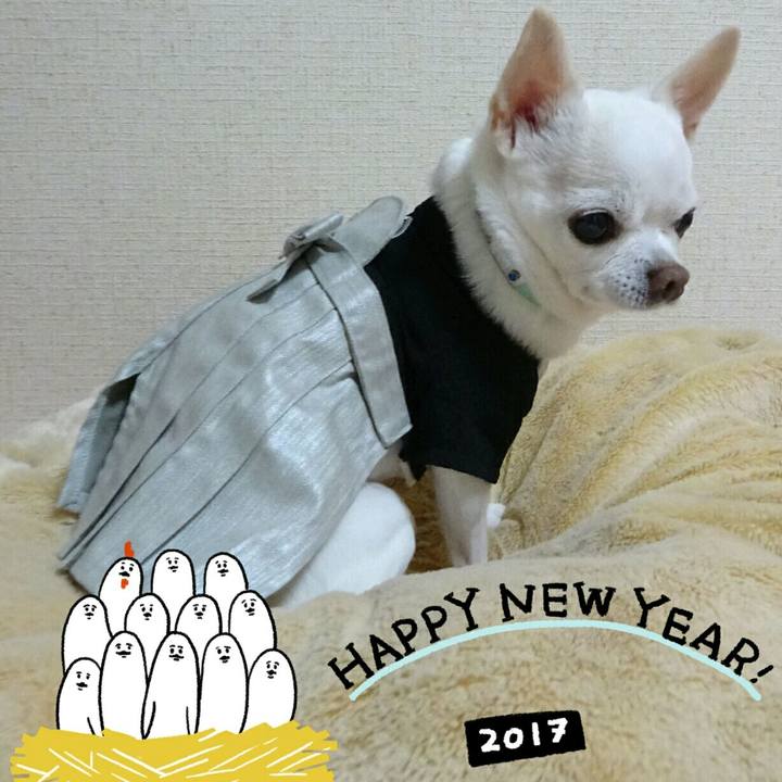 27e0b579 c709 42ee 9238 bedfed3a2bce