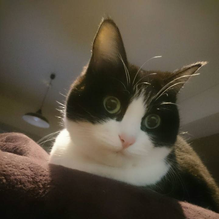 27e0ce4b 3ef8 4809 a482 d5d6472b45bd