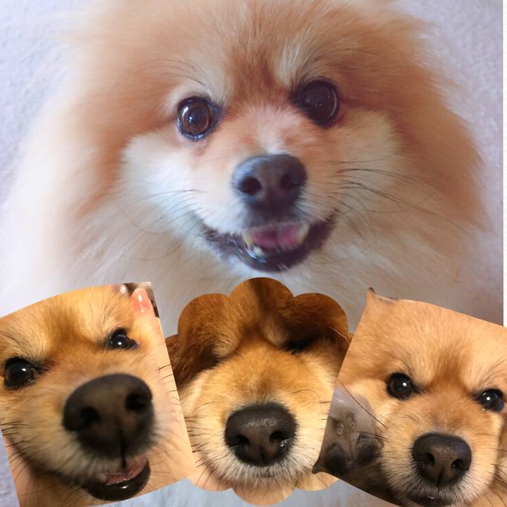 27e1a41d 9e23 48dd a065 6d9f245dfe91