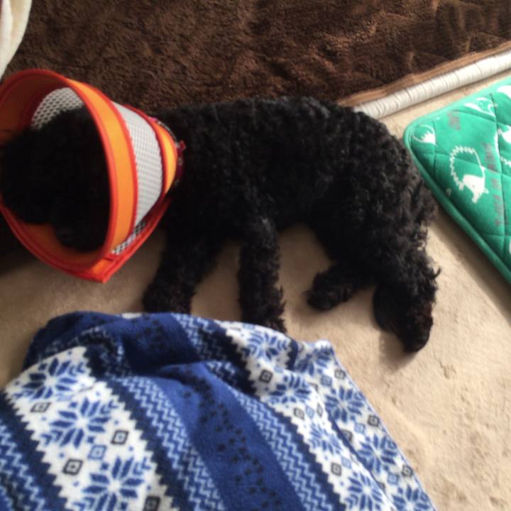 27e2872e 914d 4736 ad08 976797b28903