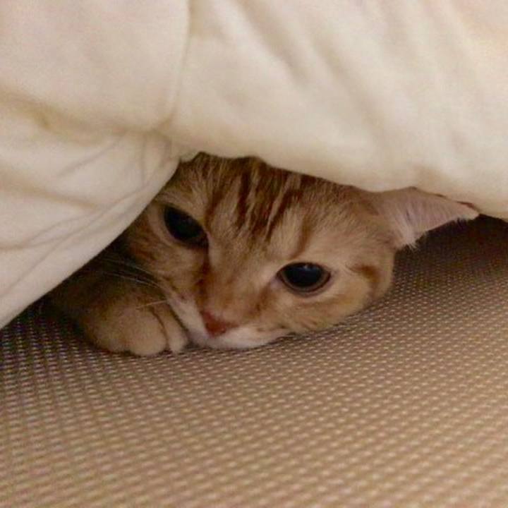 27e296bf a67b 45e4 9871 7ba4ade0573d