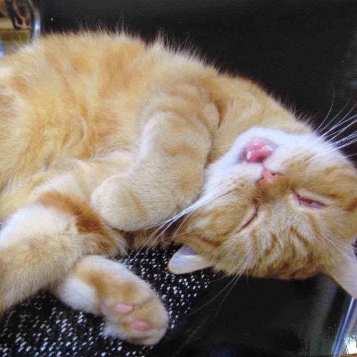 27e45c93 393e 42f0 8b0c 64c89ac39477