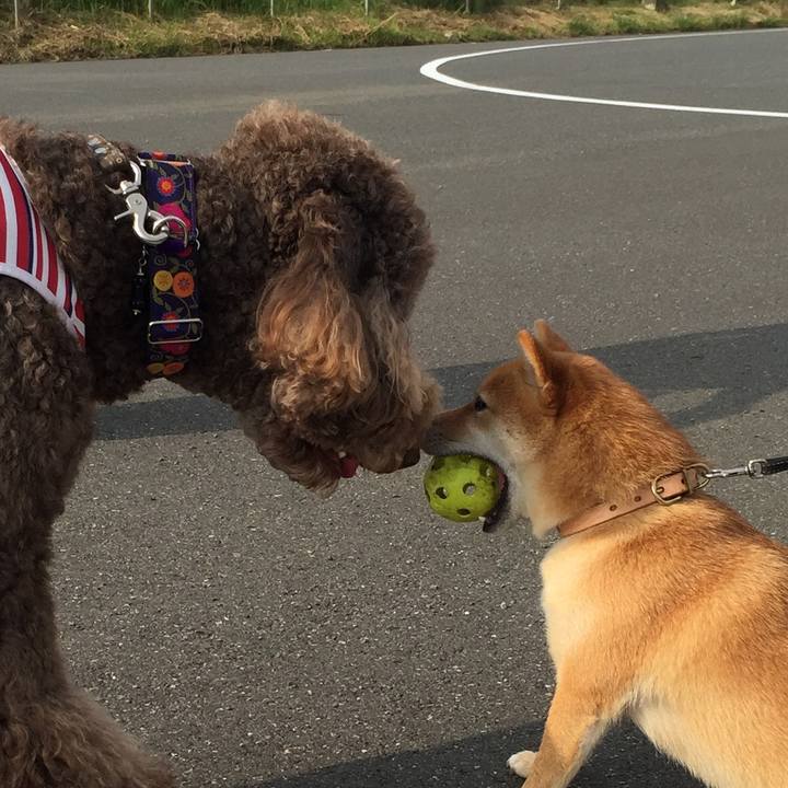 27e4b324 53c5 45e4 bbb0 190ceca14657