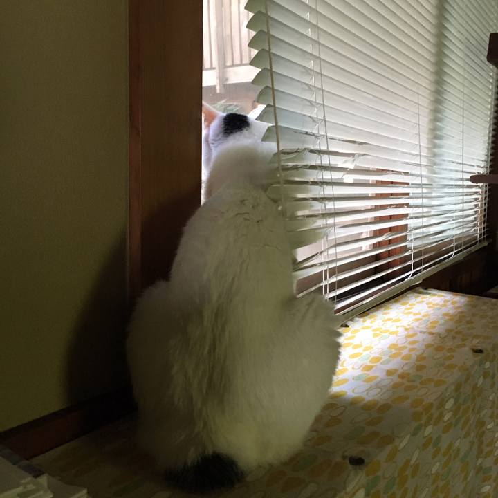 27e569b8 8571 4385 b063 516701b4dd23