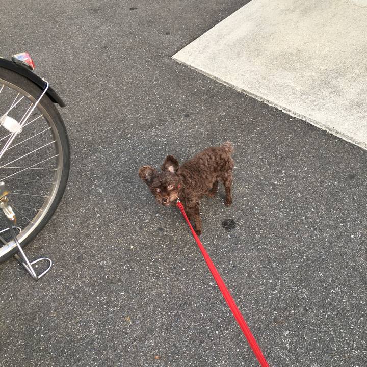 27e56e93 fc51 4de2 9972 89d5a40137f5