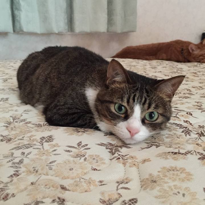 27e58cba 13be 4942 8892 e8a81a44246e