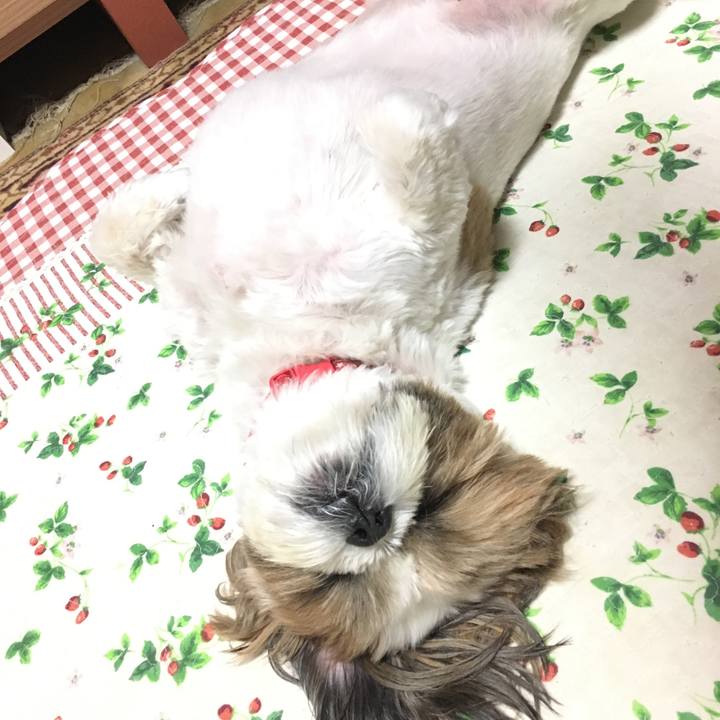 27e618c3 5b2c 4990 b0a5 21cc7c59feaf