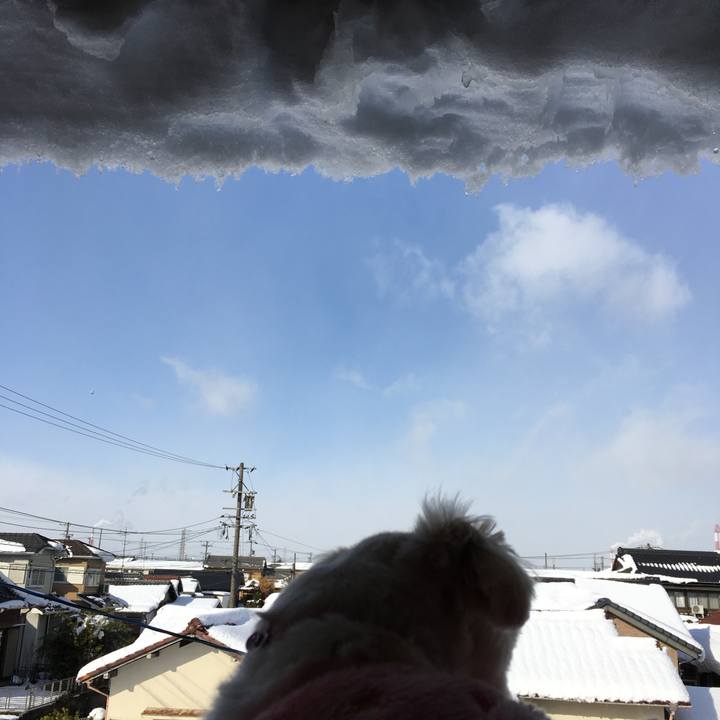 27e7538f ea68 4c52 a9da 336b2a015d5d