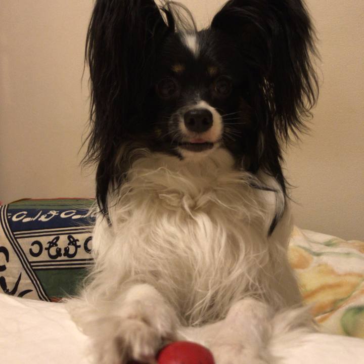 27e7684a b643 4dd1 b852 a1f5d59e3057