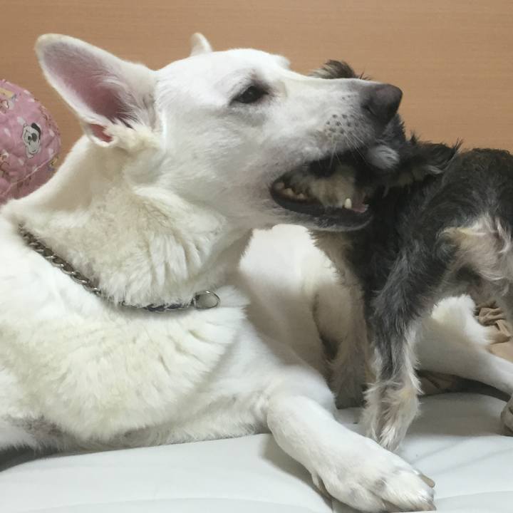 27e7881c ac30 4fed a360 690d797c8ddc