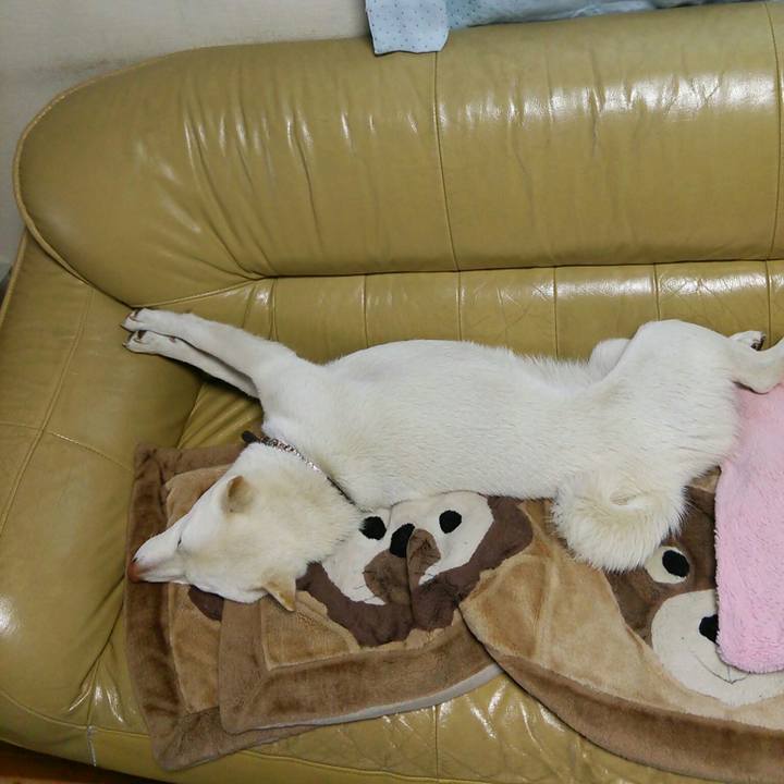 27e7d42b 3ecb 42ad b23c d1f8d30a948a