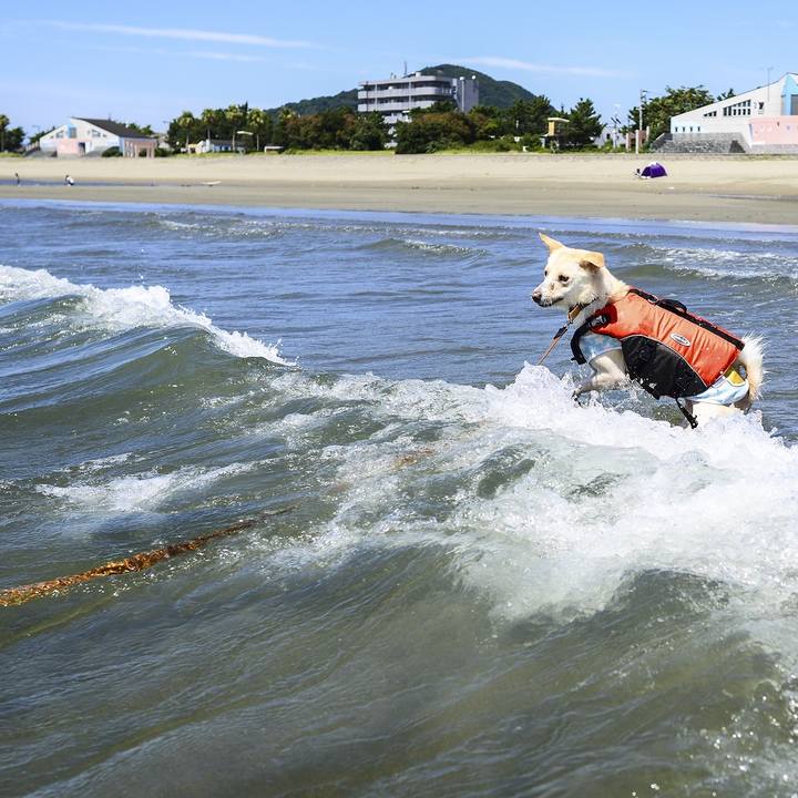 27e7d73d b905 4cfc 98a7 71fa34cc6635