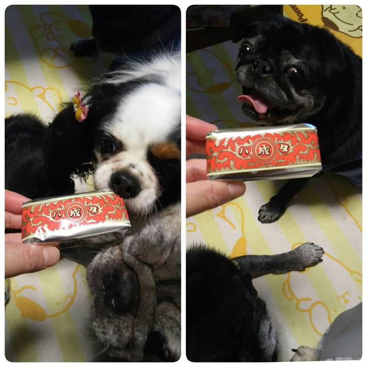 27e839c2 507a 4078 a59c 6a6de0d5554d