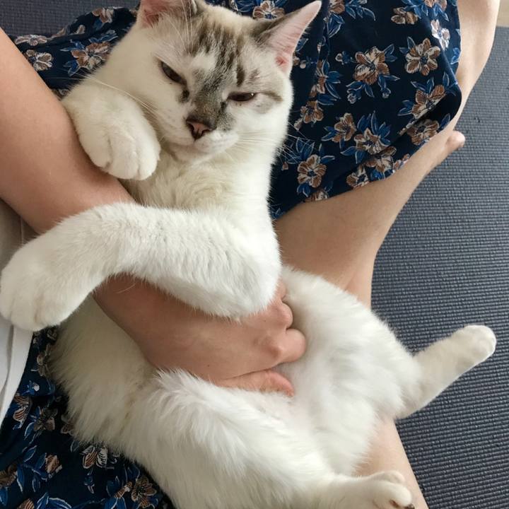 27e8415f 5330 491c 8429 221606d0b64e