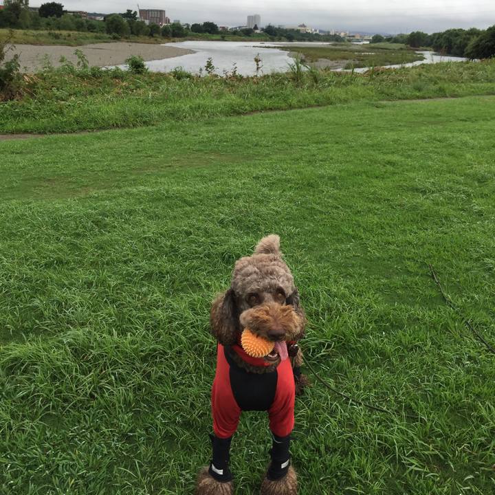 27e8ce8c c441 40f5 8bfe 2383e105c2cd