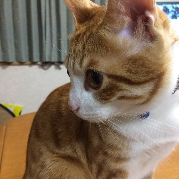 27e8d7eb 2a80 4c2b ab8d 6e5d97a1efa5