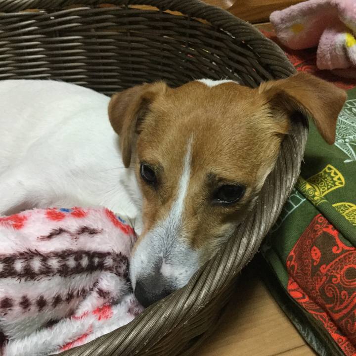 27e8e7ed b131 428b 8ee0 5df59095e324