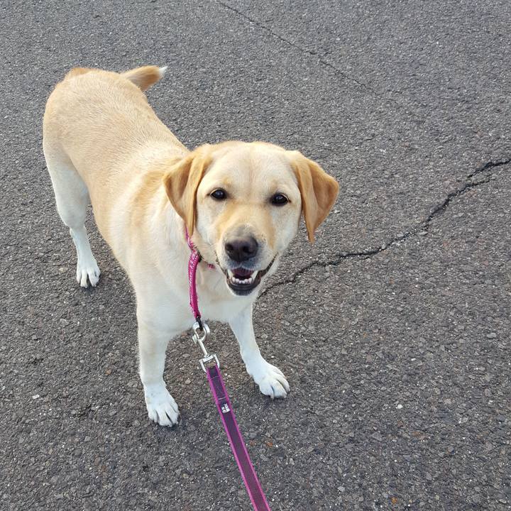 27e8f9c1 0ab1 4037 9057 97964a937637