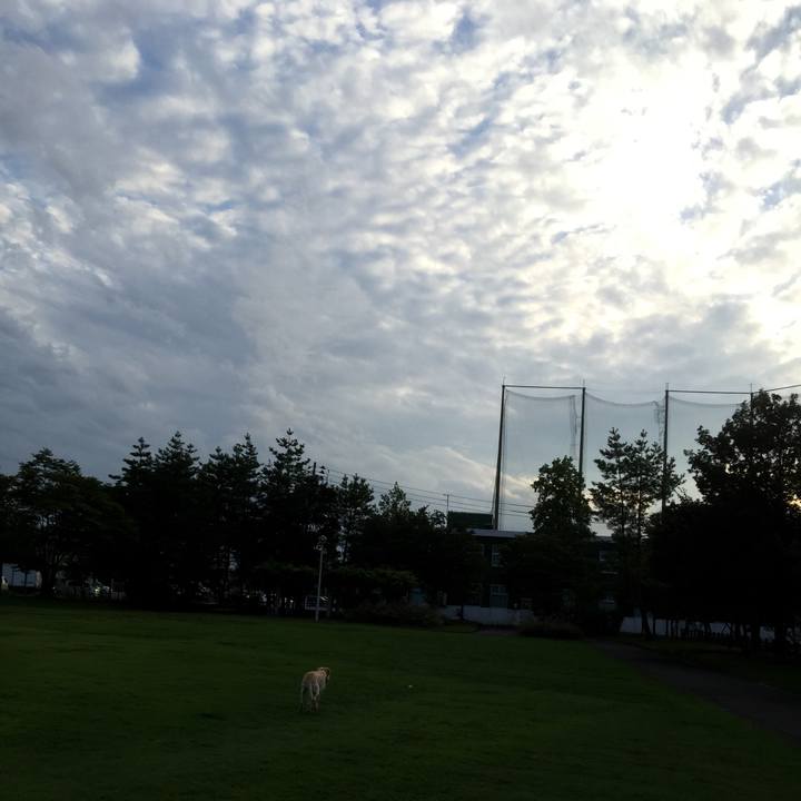 27e9d67f ba4f 4bf8 9d07 e1381df3c127