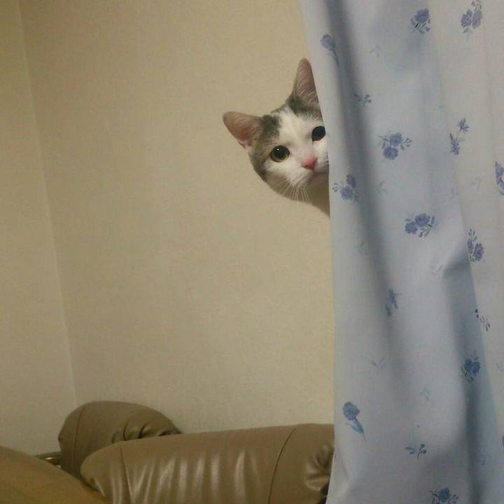 27ea2bcf 4f7a 4156 b2b0 7ae8846866aa