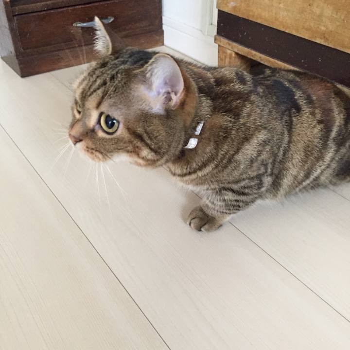 27ea77ef d473 464a 9cb8 77924498d8e6