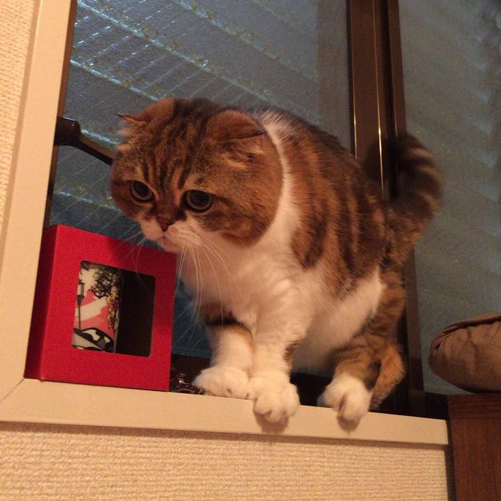 27eb700d 11f1 4612 bd0d 5e9fc137a1fd