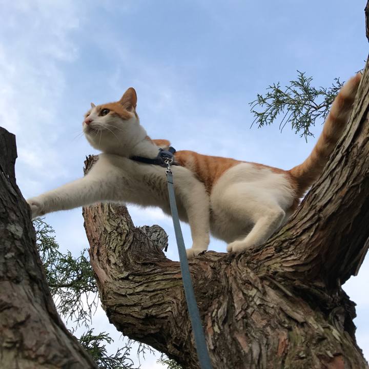 27ebd83f c5d9 4ce9 a845 daeb80359468