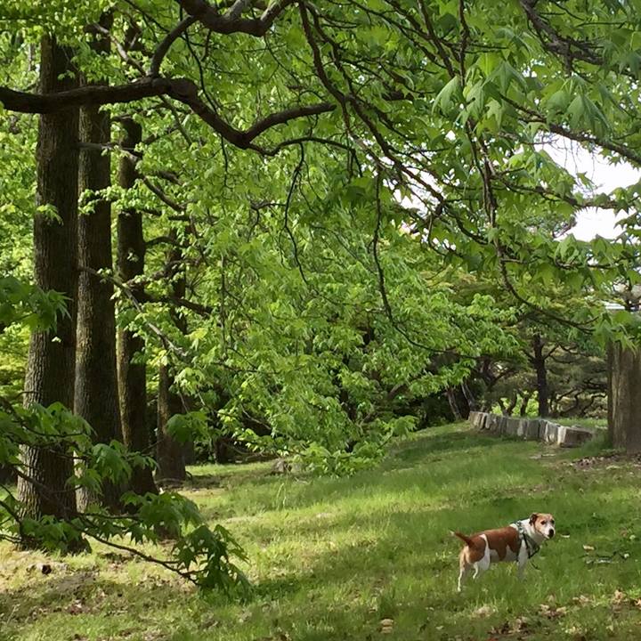 27ec5523 c9a1 4684 8ae6 cea00d7897d6