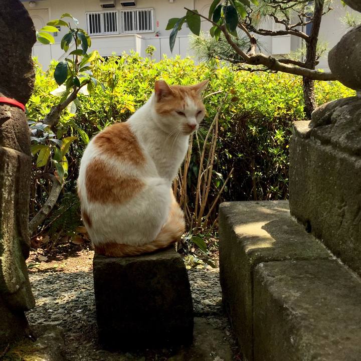 27ec8948 2e00 4a21 84d7 205d4376ac79