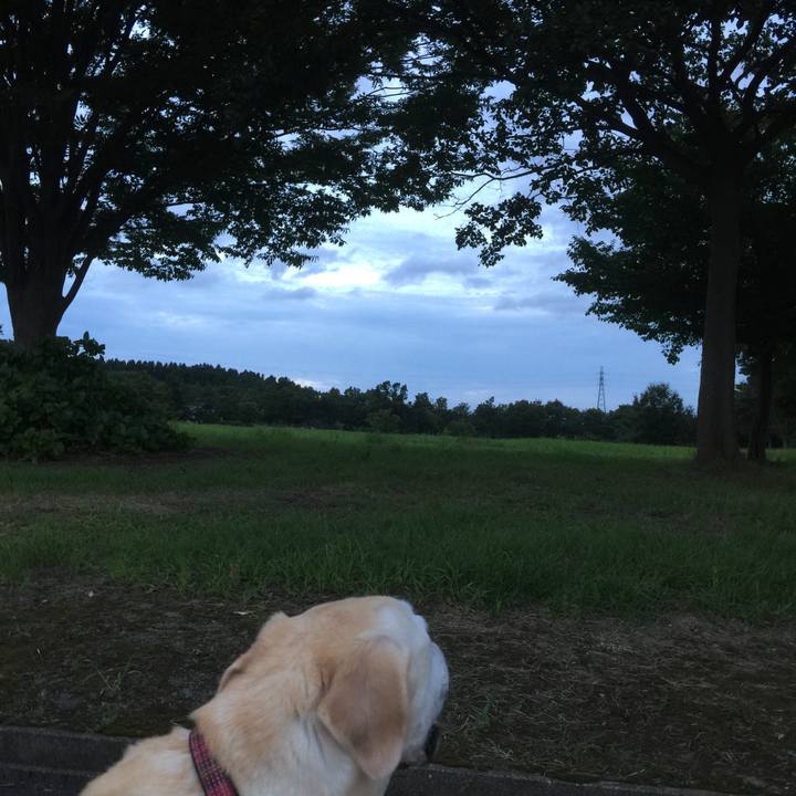 27ed115a e281 44d2 baa8 c628e156b0f6