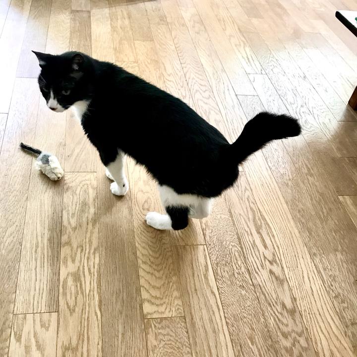 27ed3171 0732 4e9b a821 ff96e9a0c07f