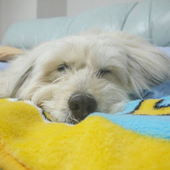 27ed5f00 4be2 4b2f a545 65e8d7c507f3