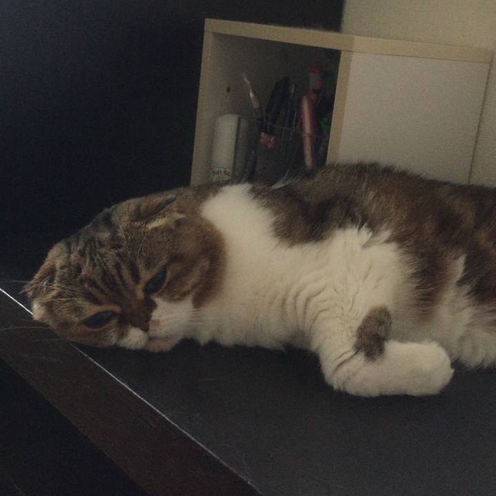 27ed6d04 ab0b 414c 8687 354c0557146e