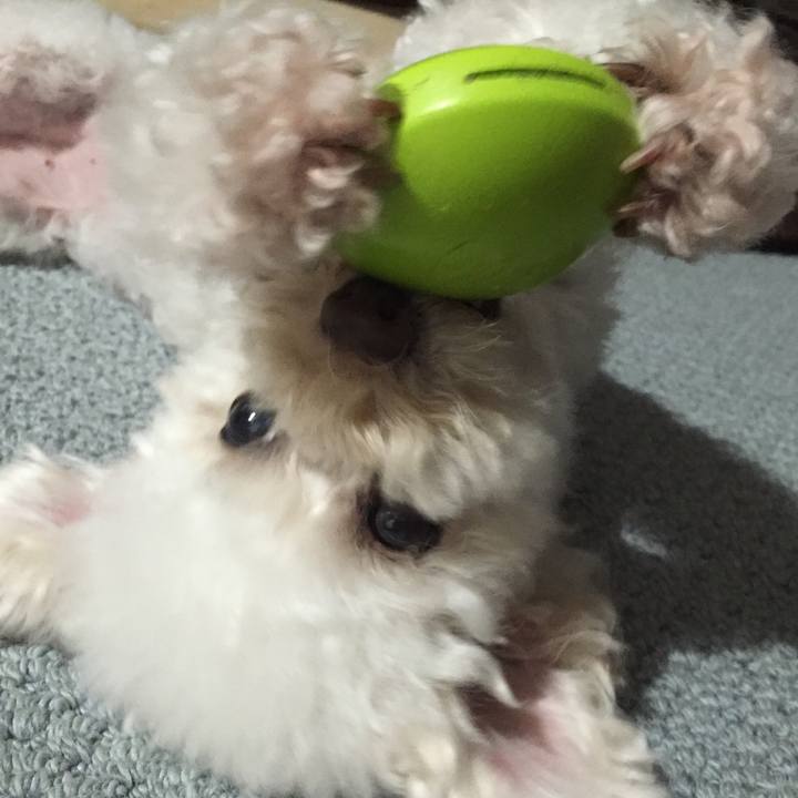 27edc8b2 1d21 4962 bfc6 9e512f2b6d0a