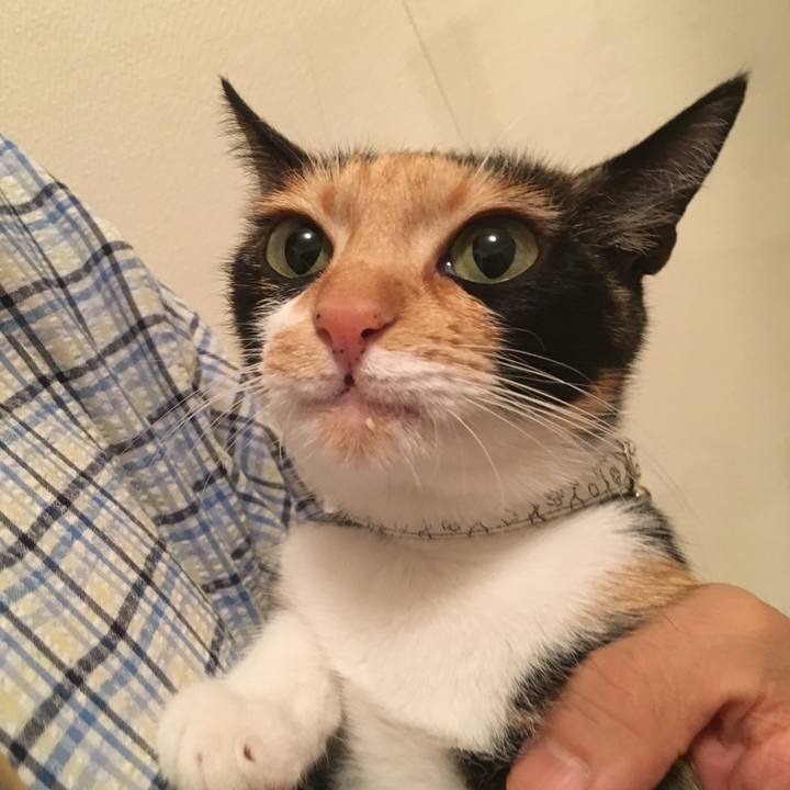 27eddf54 afd5 42e7 9d7d cf9955605be9