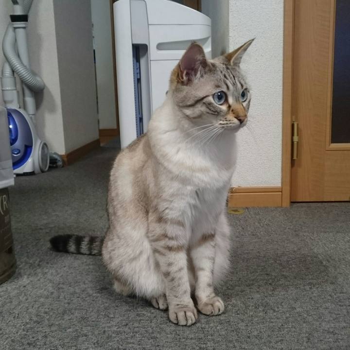 27edf1db 3bba 490d b13e e99ad20630f0