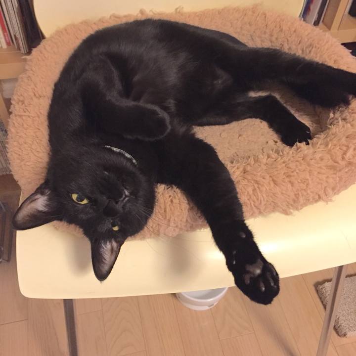 27edfd8d daeb 4170 8b2a 3de0f29cd0a7