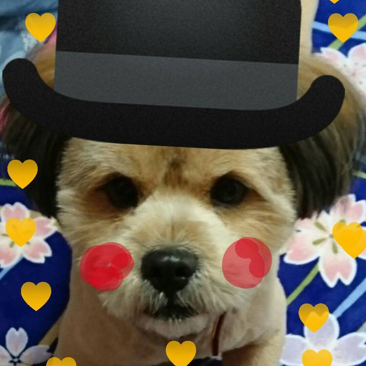 27ee8808 5141 47b7 bb7a fde784bc07aa