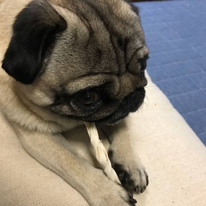 27eeb8ff b49d 492c b562 6ee7532f6f7a