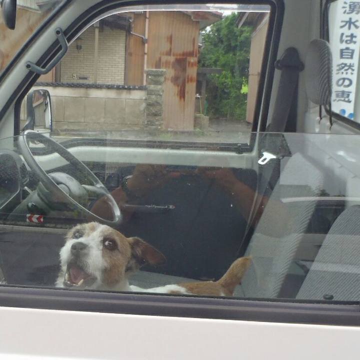 27eecd59 185f 4078 8d52 a956a82a2453