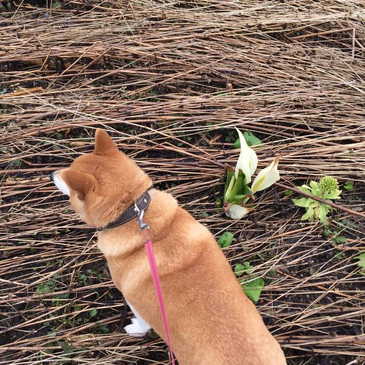 27ef7369 4125 4a78 8ea8 92ef4d41ac67