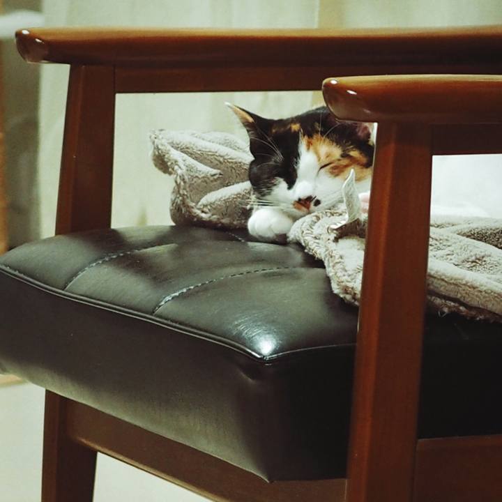 27efc48b 2c05 4dde 985d 680f4ed7772f