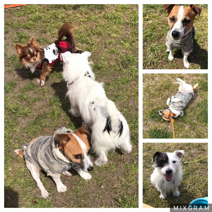 27f0053e f84f 49fb b271 75d7e8ed9aab