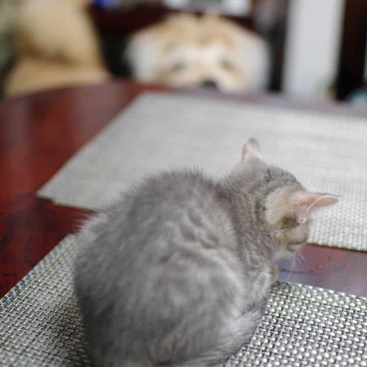 27f02e06 3929 46ff 88a4 785bb8a8dea6